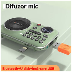 🎁【Ofertă limitată】Player muzical portabil cu radio Bluetooth, poate introduce carduri și unități flash USB